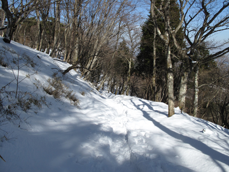 20180209hike (118)